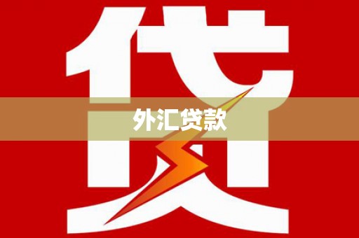 那曲外汇贷款
