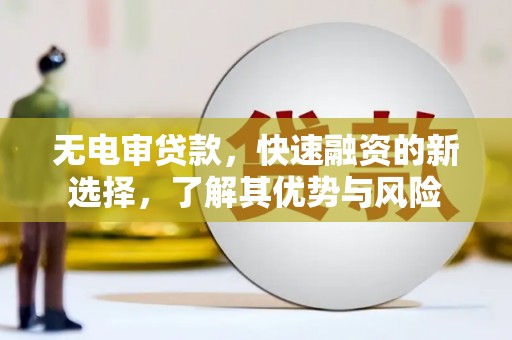 那曲无电审贷款，快速融资的新选择，了解其优势与风险