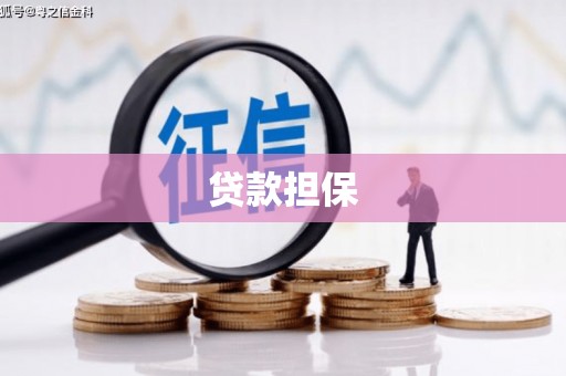 那曲贷款担保