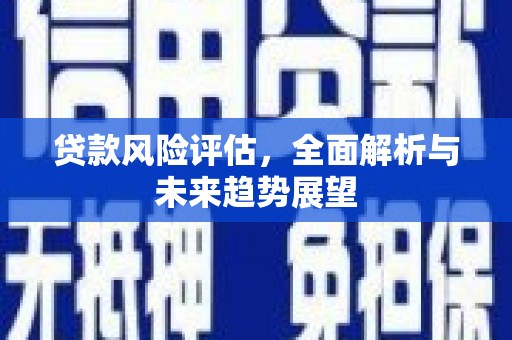 那曲贷款风险评估，全面解析与未来趋势展望