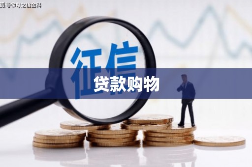 那曲贷款购物