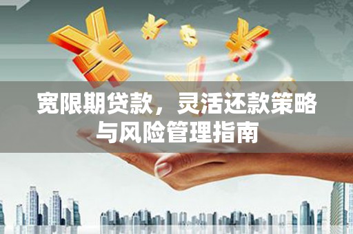 那曲宽限期贷款，灵活还款策略与风险管理指南