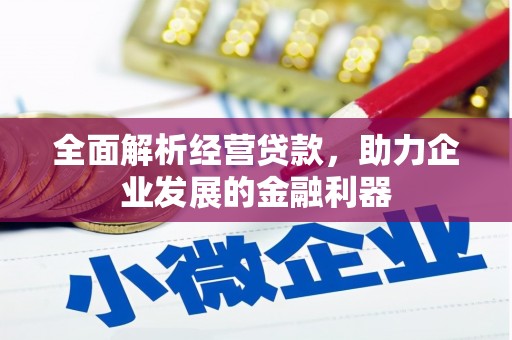 那曲全面解析经营贷款，助力企业发展的金融利器