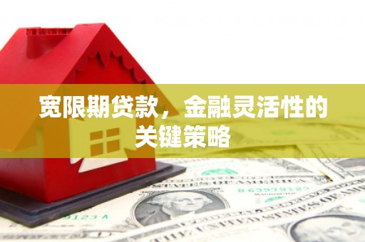 那曲宽限期贷款，金融灵活性的关键策略