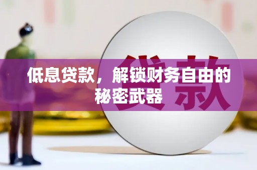 那曲低息贷款，解锁财务自由的秘密武器