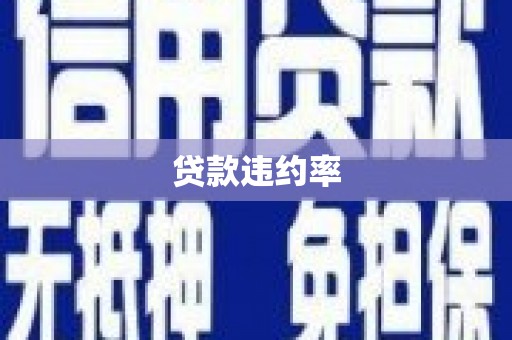 那曲贷款违约率