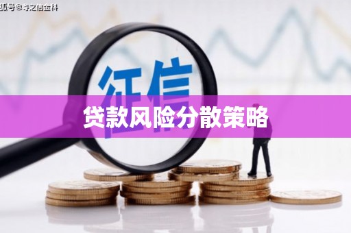 那曲贷款风险分散策略
