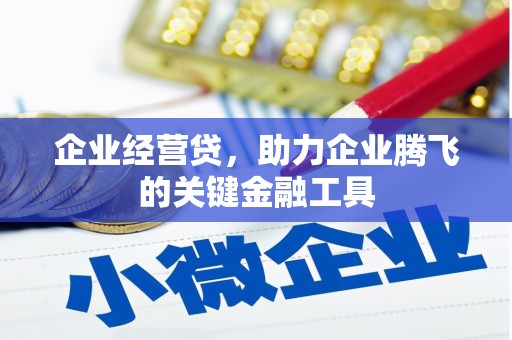 那曲企业经营贷，助力企业腾飞的关键金融工具