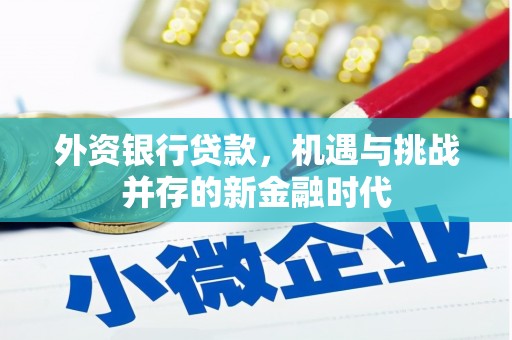 那曲外资银行贷款，机遇与挑战并存的新金融时代