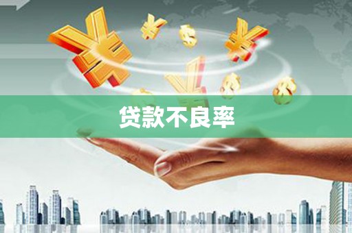 那曲贷款不良率