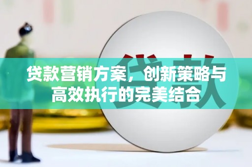 那曲贷款营销方案，创新策略与高效执行的完美结合