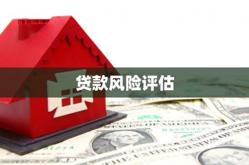 那曲贷款风险评估