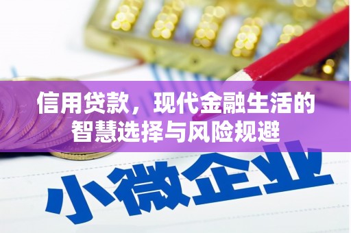那曲信用贷款，现代金融生活的智慧选择与风险规避