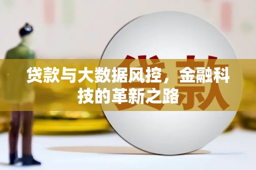 那曲贷款与大数据风控，金融科技的革新之路