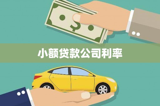 那曲小额贷款公司利率