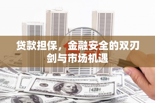 那曲贷款担保，金融安全的双刃剑与市场机遇