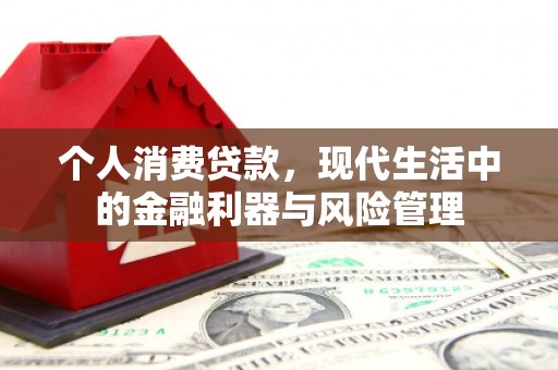 那曲个人消费贷款，现代生活中的金融利器与风险管理