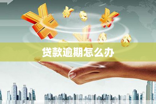 那曲贷款逾期怎么办