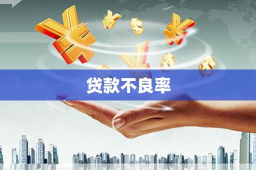 那曲贷款不良率