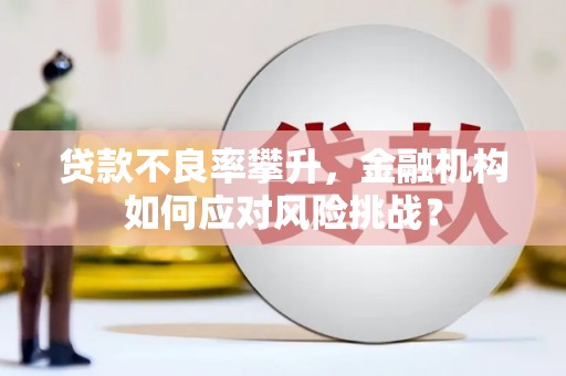 那曲贷款不良率攀升，金融机构如何应对风险挑战？