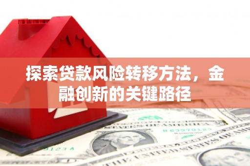 那曲探索贷款风险转移方法，金融创新的关键路径