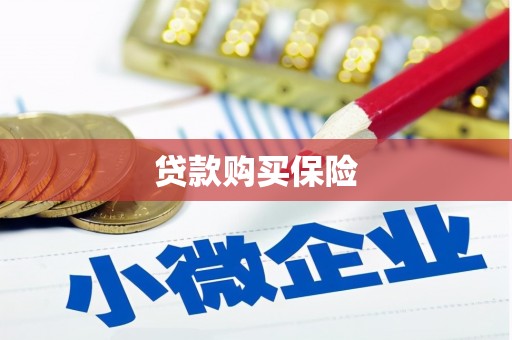那曲贷款购买保险