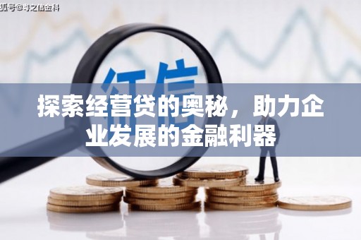 那曲探索经营贷的奥秘，助力企业发展的金融利器