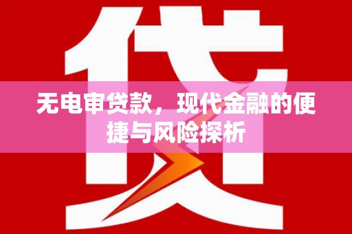 那曲无电审贷款，现代金融的便捷与风险探析