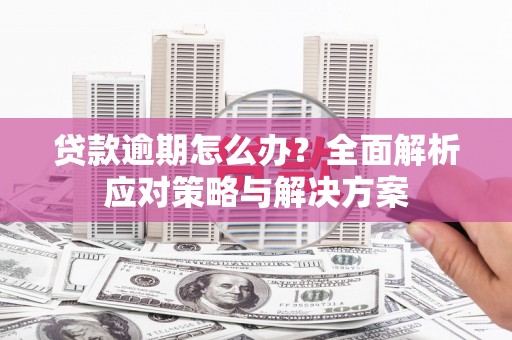 那曲贷款逾期怎么办？全面解析应对策略与解决方案