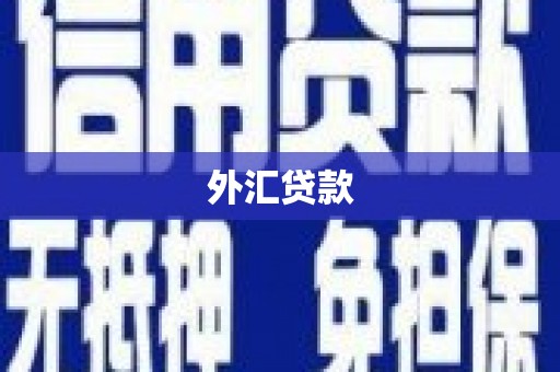 那曲外汇贷款