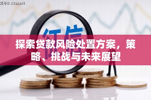 那曲探索贷款风险处置方案，策略、挑战与未来展望