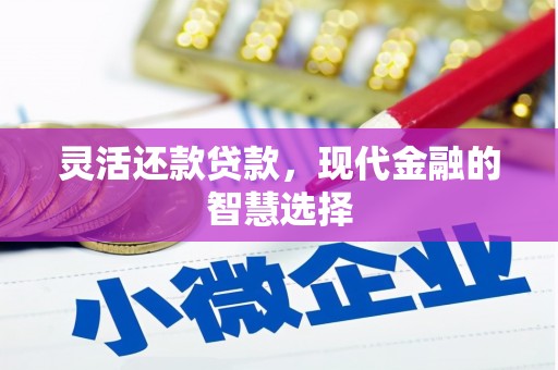 那曲灵活还款贷款，现代金融的智慧选择