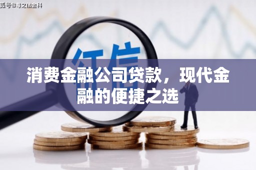 那曲消费金融公司贷款，现代金融的便捷之选