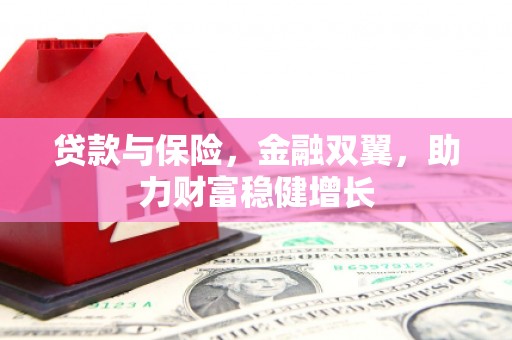 那曲贷款与保险，金融双翼，助力财富稳健增长