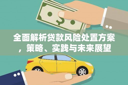 那曲全面解析贷款风险处置方案，策略、实践与未来展望