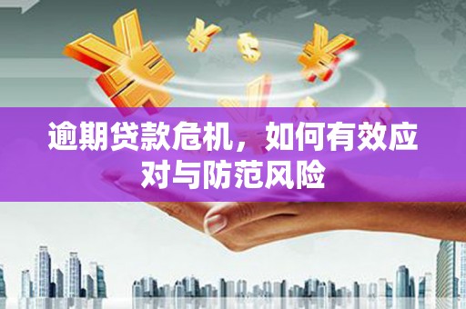 那曲逾期贷款危机，如何有效应对与防范风险