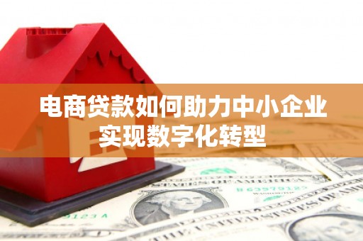 那曲电商贷款如何助力中小企业实现数字化转型