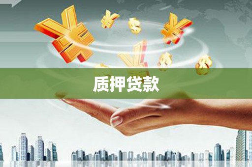 那曲质押贷款