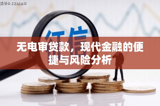 那曲无电审贷款，现代金融的便捷与风险分析