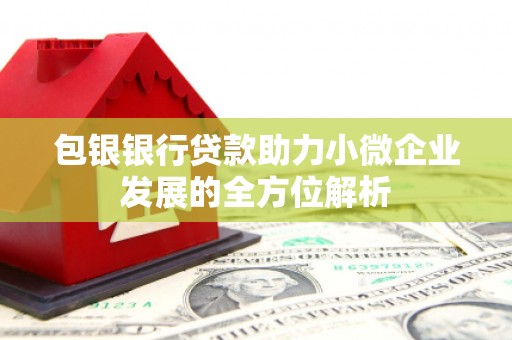 那曲包银银行贷款助力小微企业发展的全方位解析