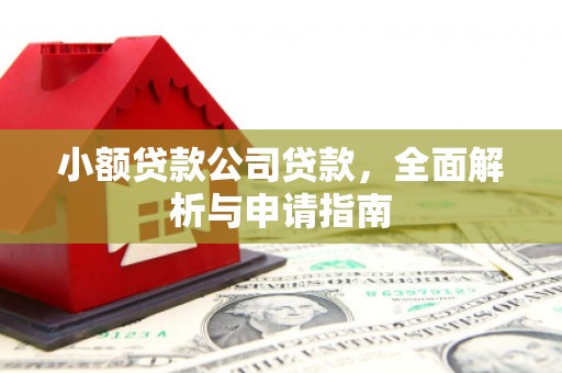 那曲小额贷款公司贷款，全面解析与申请指南