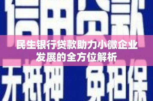 那曲民生银行贷款助力小微企业发展的全方位解析