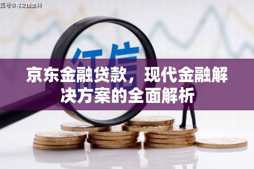 那曲京东金融贷款，现代金融解决方案的全面解析