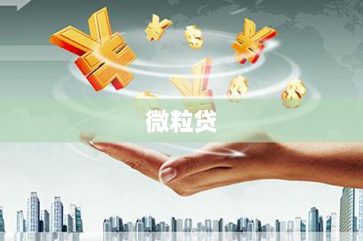 那曲微粒贷