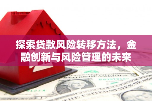 那曲探索贷款风险转移方法，金融创新与风险管理的未来