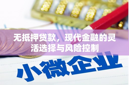 那曲无抵押贷款，现代金融的灵活选择与风险控制