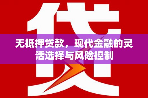 那曲无抵押贷款，现代金融的灵活选择与风险控制