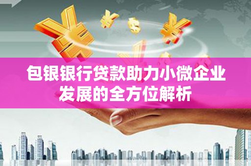 那曲包银银行贷款助力小微企业发展的全方位解析