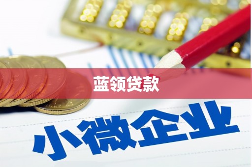 那曲蓝领贷款
