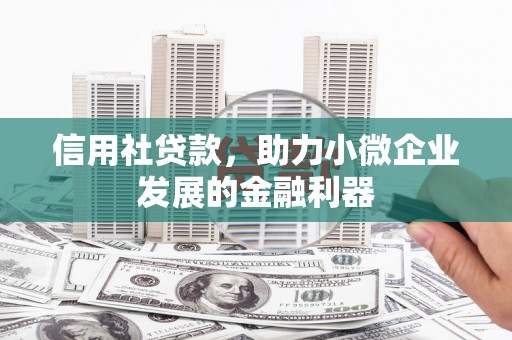 那曲信用社贷款，助力小微企业发展的金融利器